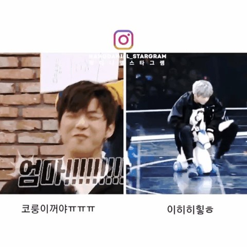 엘모먼트 이미지