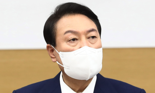 대원소프트 이미지