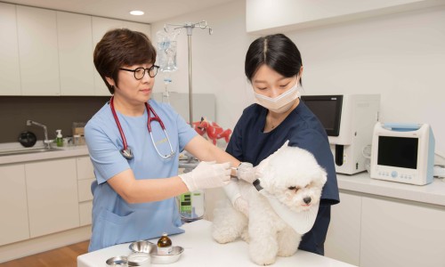 영진축산 이미지