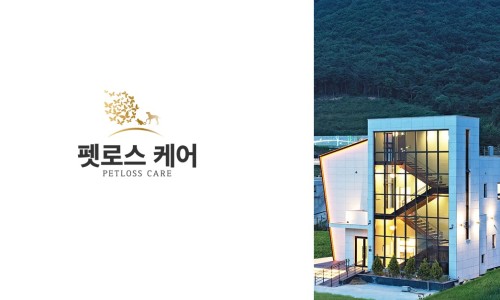 무지개케어 이미지