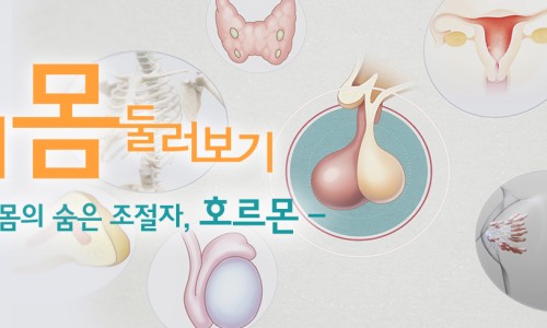 쟈스민테라피 이미지