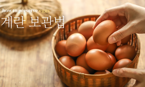 에그박스 이미지