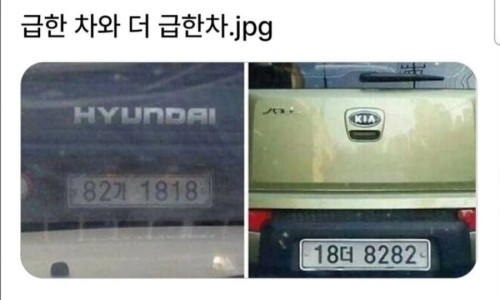 더차 이미지