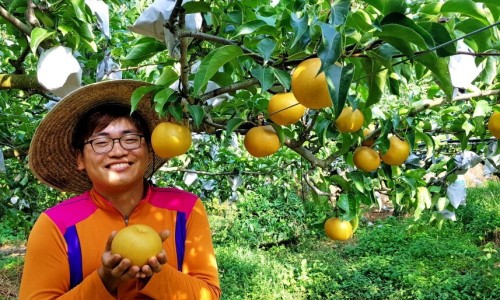 현대농축수산 이미지