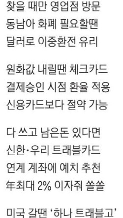 새로트래블 이미지