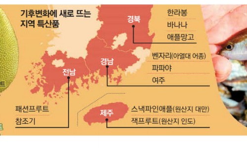 MK유통 이미지