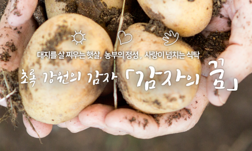 강원감자농협조합공동사업법인 이미지
