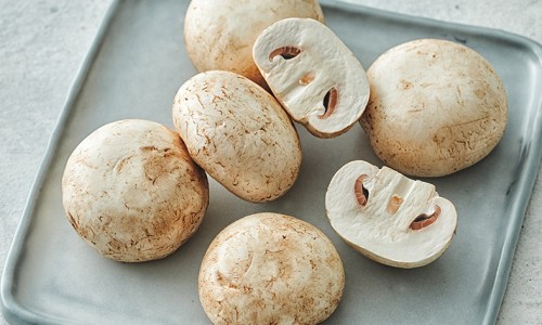 양송이마켓 이미지