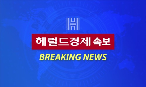 디앤디소프트 이미지