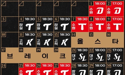 위즈링크 이미지