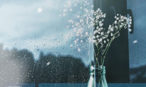 밈(MIM) 이미지