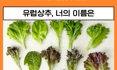 어스박스 이미지