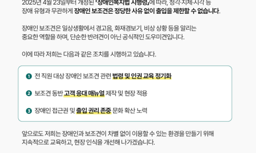 올데이 이미지