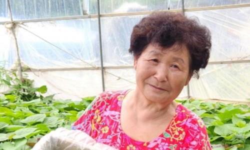 순로컬푸드 이미지