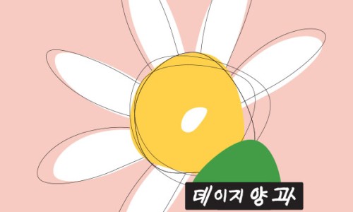 데이지커피 이미지