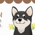 치치까까 이미지