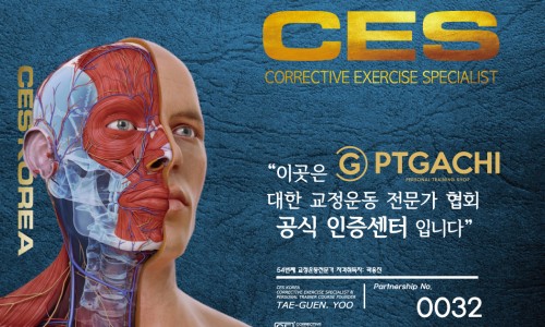 40피티 이미지
