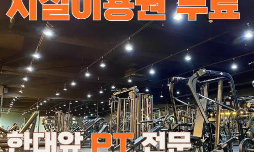 알피짐 이미지