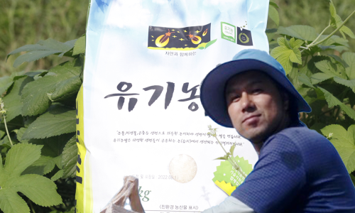 유기농 오분도미쌀 당일 도정 신선함 그대로