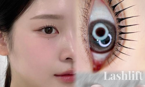 뷰티 핏(Beauty fit) 이미지