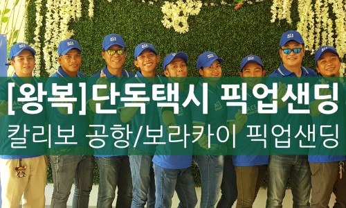 에이스투어 여행사 이미지