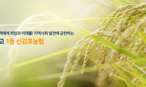 신김포농협로컬푸드 이미지