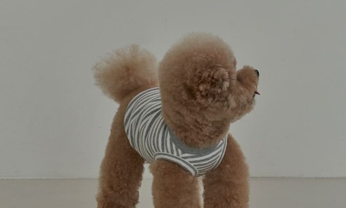 스몰워크 이미지