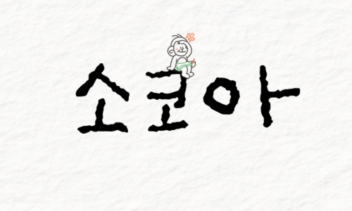 소코아뚝섬점 이미지