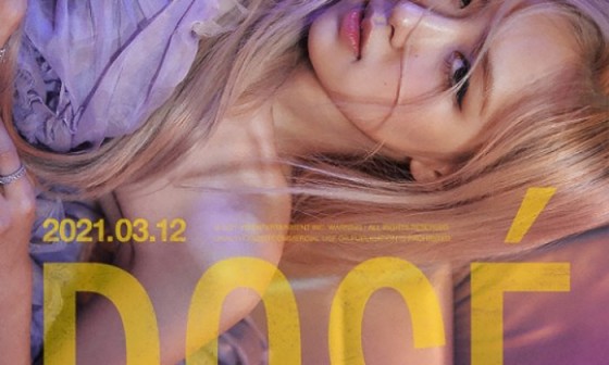 로제12 이미지