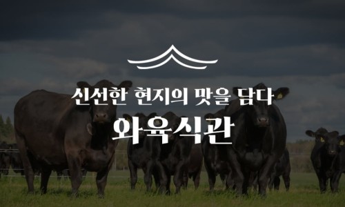 오케이미트 이미지