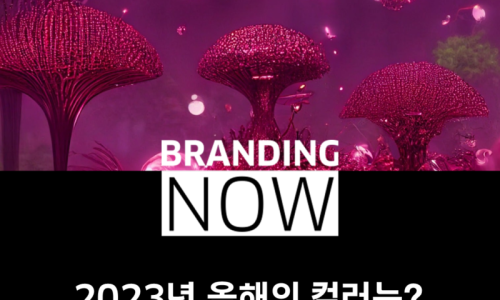 컬러커뮤니케이션즈 이미지