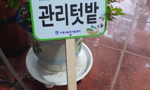 우드앤사인 이미지