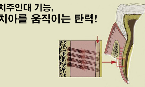 이영준치과 이미지