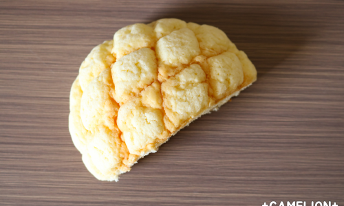 카멜리온 이미지