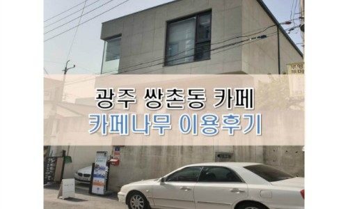 카페나무 이미지