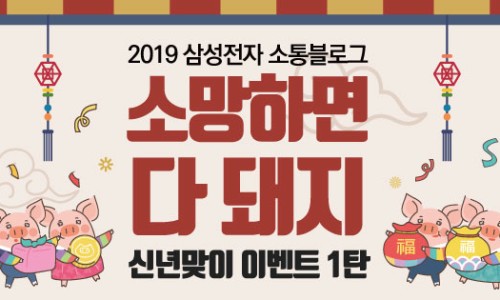 다돼지 이미지