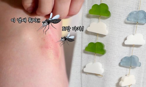 모스커피 이미지
