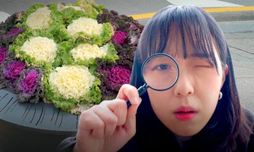 조경사무소루다 이미지