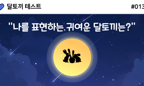 베이지래빗 이미지