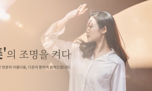 디온진 이미지