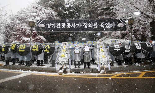 도마위 이미지