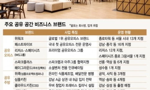 디엠코리아 이미지