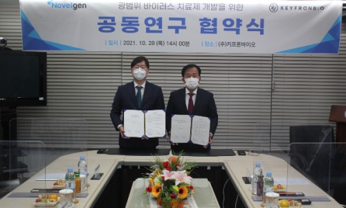 노블젠 이미지