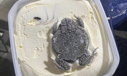 두꺼비유통 이미지