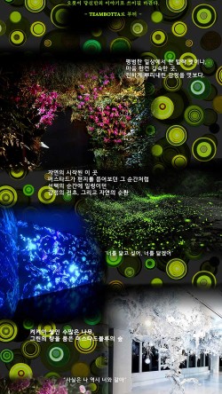 포레블루 이미지