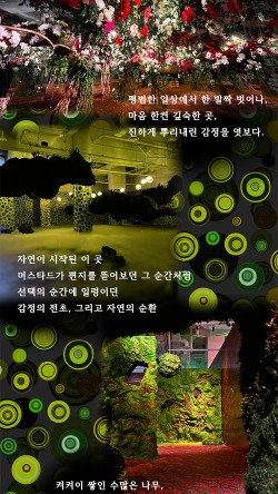 포레블루 이미지