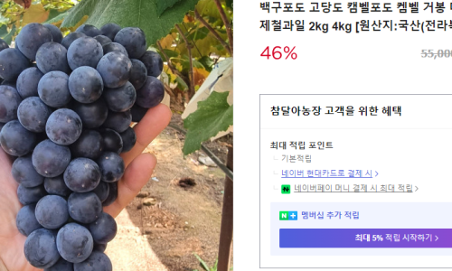 투데이샤인 이미지