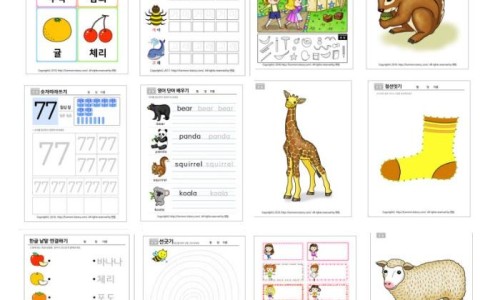 남포항간호학원 이미지