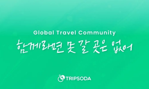 포인터스 이미지