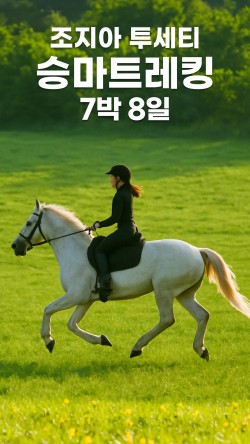 한트립투어 이미지